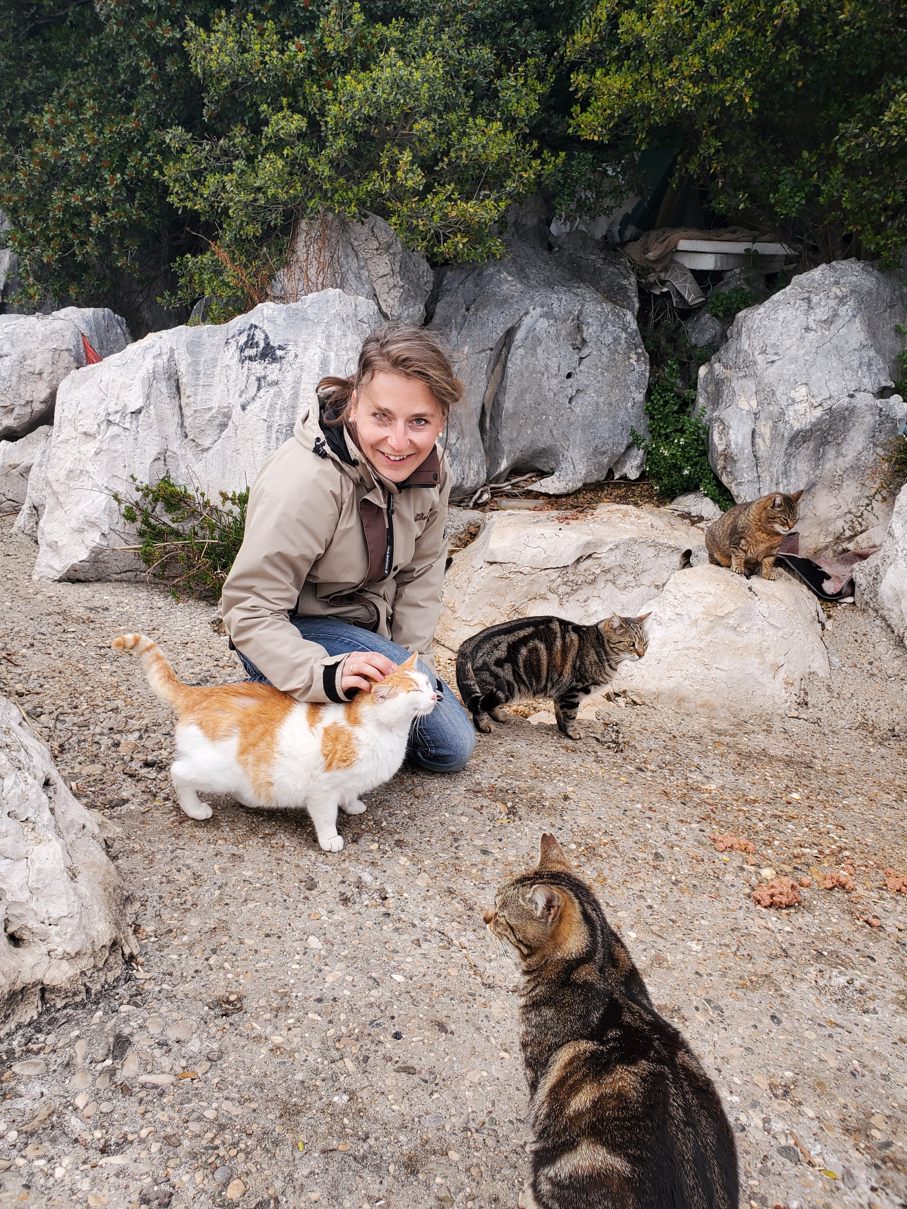 Tierheilpraktiker Passau für Hunde und Katzen