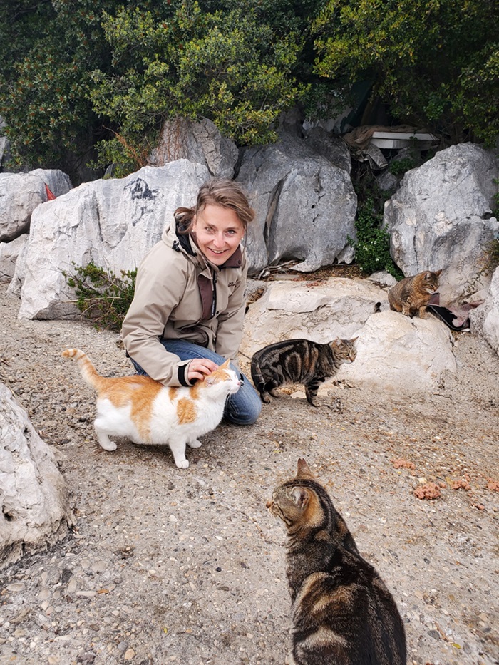 Tierheilpraktiker in Passau für Katzen und Hunde